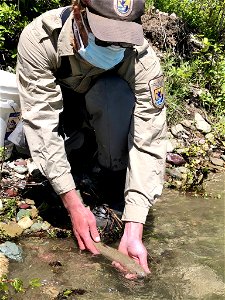 Saving Native Fish From a Drained Canal in Montana photo