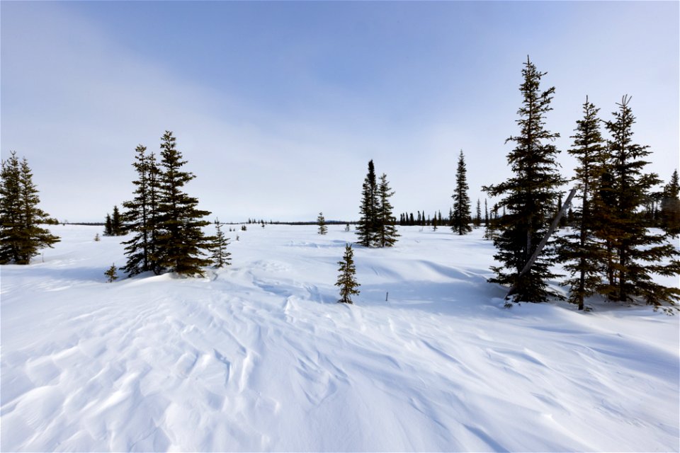 Textures of snow at Selawik National Wildlife Refuge