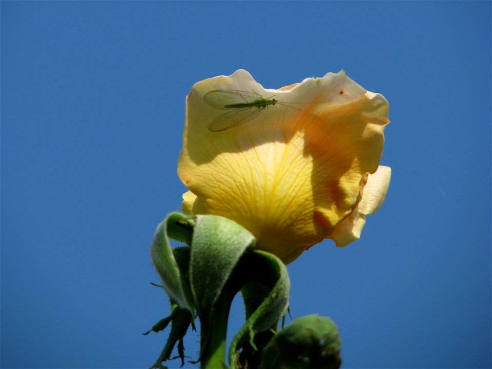c2008_0818_101141(1)