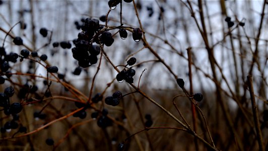 nori-fabrica2015_0226_111807