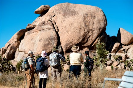 Joshua tree program photo