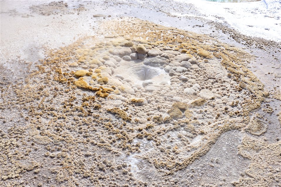 Vixen Geyser after an eruption