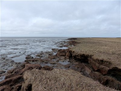 Tutakoke River at low tide photo