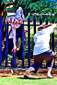 Halloween Zombies