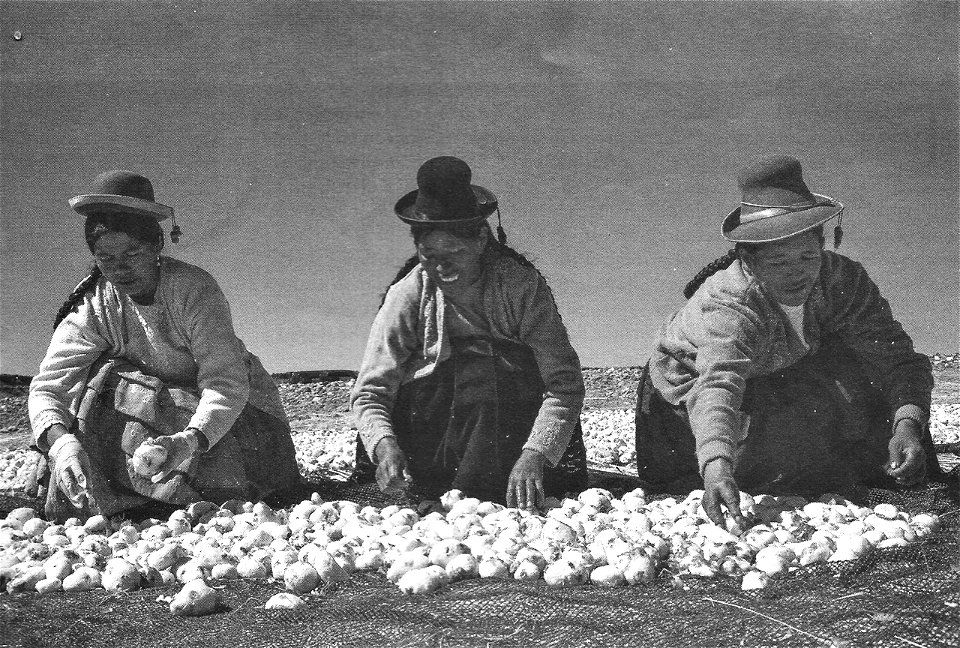 Cocina aimara, del campo a la olla