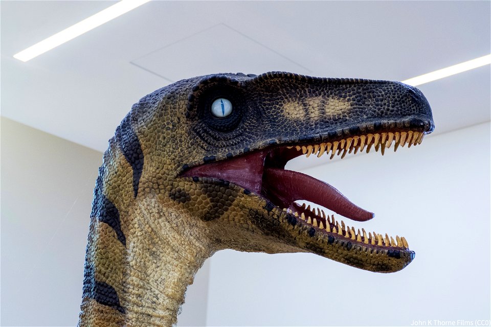 Maidstone Museum Dinosaur