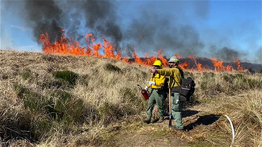 Siuslaw Oregon Dunes Prescribed Burn 2022