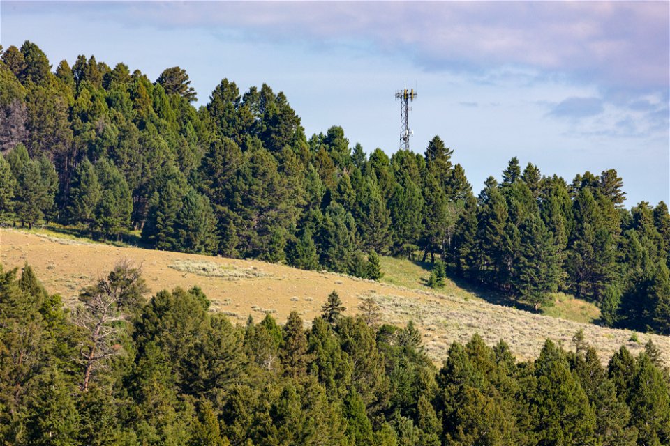 Elk Plaza tower from Capitol Hill (2)
