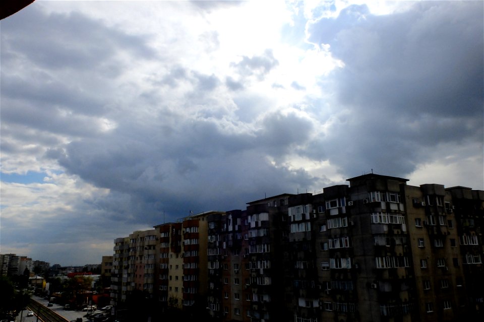 nori-Calea_vitan2014_1018_124657