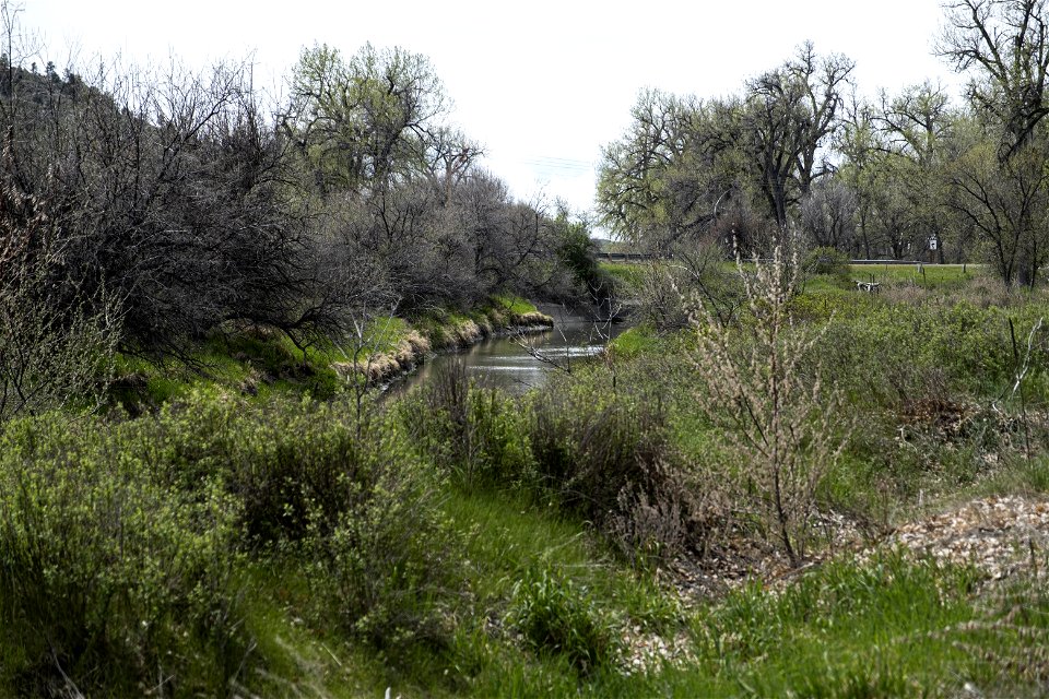 Creek running through Howrey Island