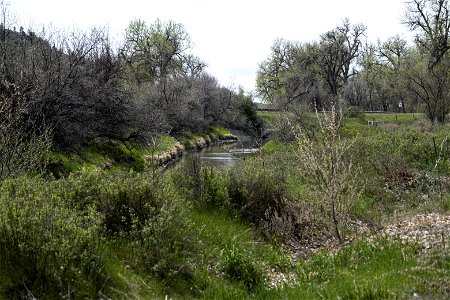 Creek running through Howrey Island