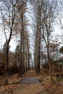 Hantaek Botanical Garden