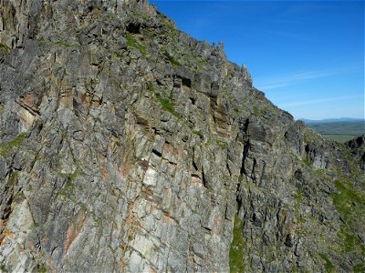 Golden Eagle nest