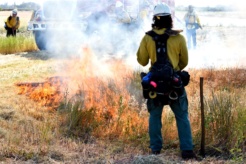 BLM’s Folsom Lake Veterans Crew perform RX Burn at Cosumnes River Preserve restoring critical habitat.