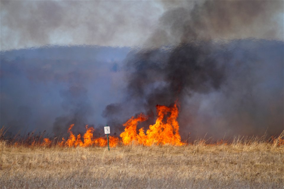 2021 USFWS Fire Employee Photo Contest Category: Fuels Management
