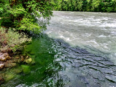 Confluence of Clear Creek with the Sauk River, Mt. Baker-Snoqualmie National Forest. Photo by Anne Vassar June 4, 2021.