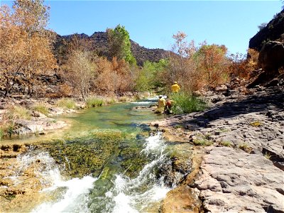 Forest Service sample collection