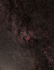 Day 185 - Peering into Cygnus photo