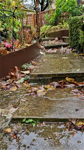 Stream through Garden as a result of recent rain photo