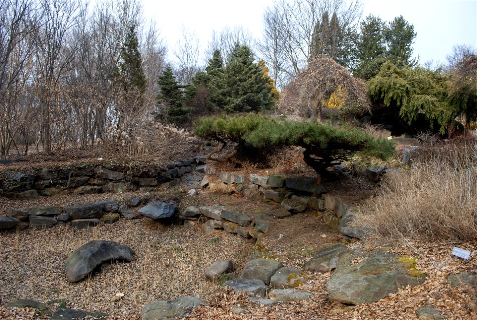 Hantaek Botanical Garden