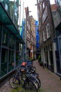 IMG_0909