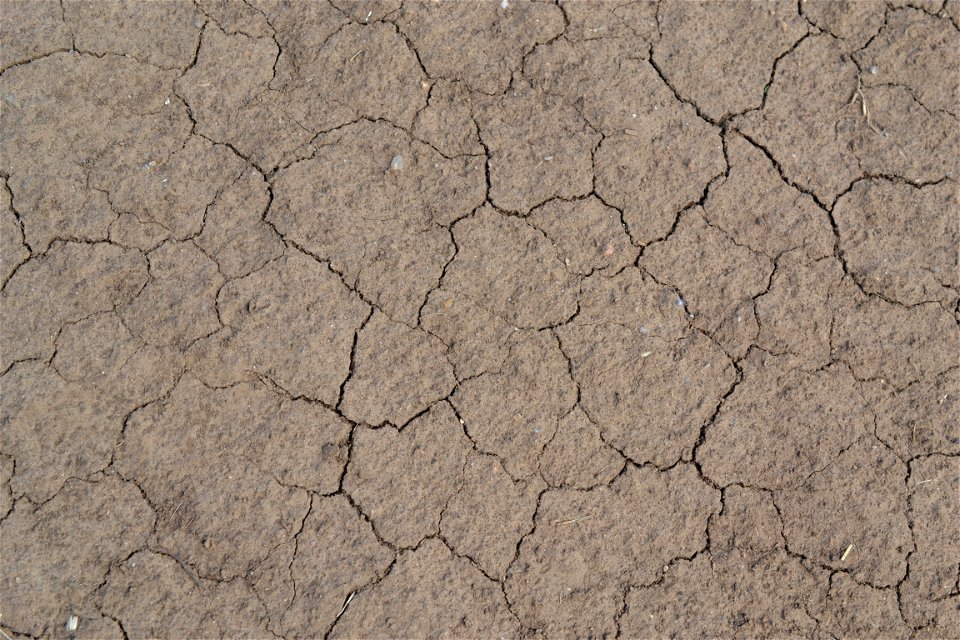 Free textures with cracks