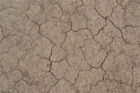 Free textures with cracks