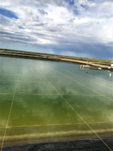 Protecting Hatchery Ponds From Birds photo