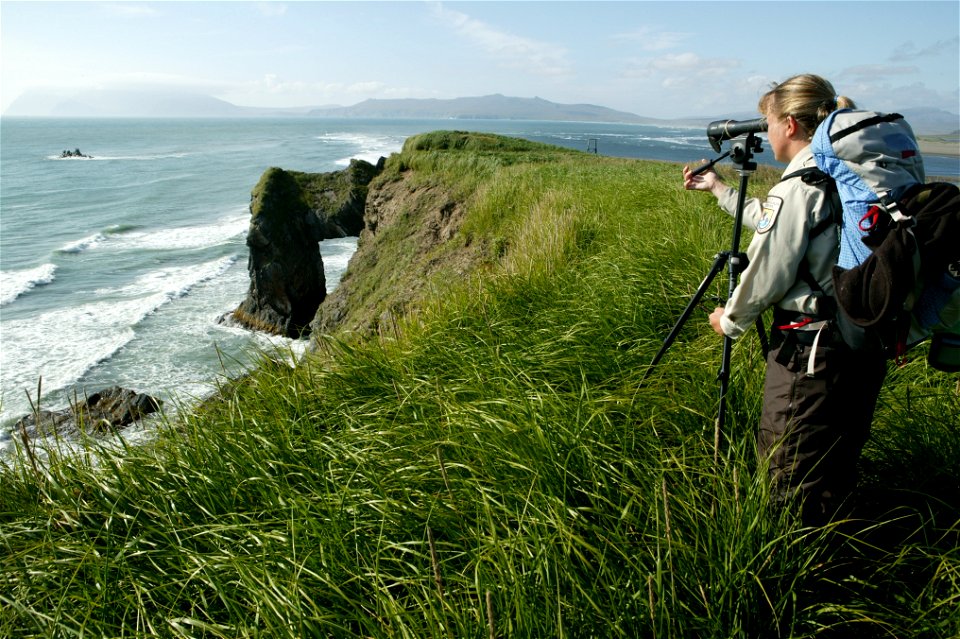 Scoping out the coast