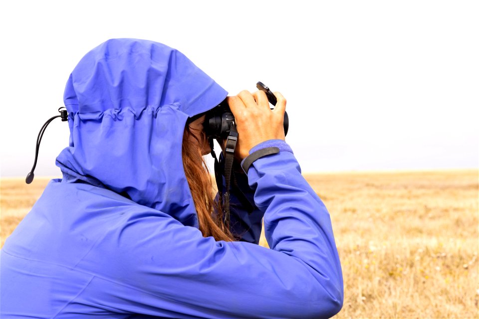 Watching a nest photo