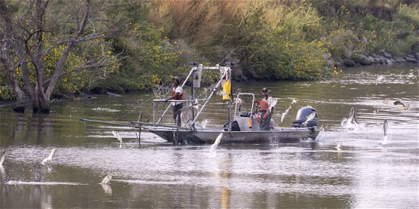 Invasive Carp Research on the James River in South Dakota. Photo: Sam Stukel (USFWS)