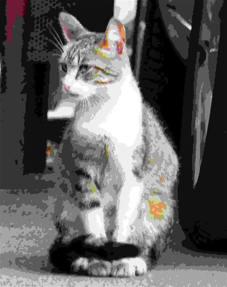 independent_cats_str2017_0630_182740