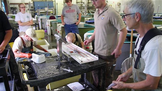 Tagging Pallid Sturgeon at Gavins Point National Fish Hatchery photo