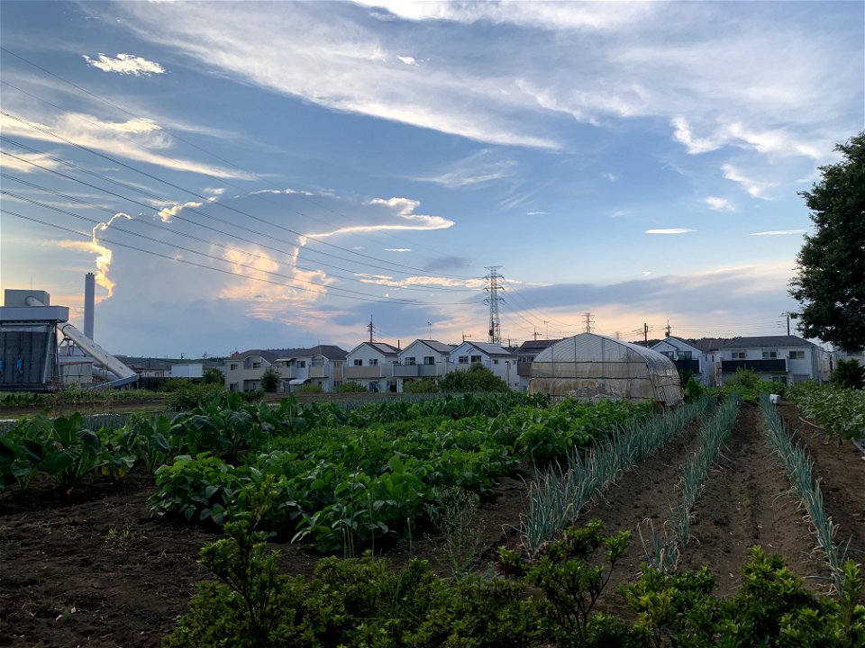 Shimosato in Higashikurume-shi