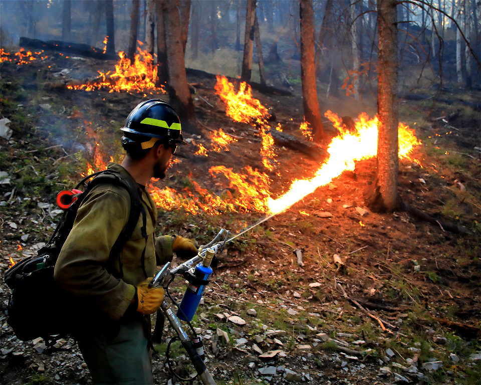 2022 Prescribed Fire
