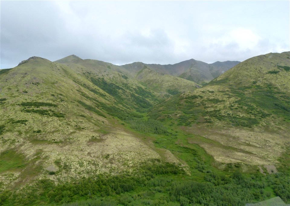 Kilbuck Mountains
