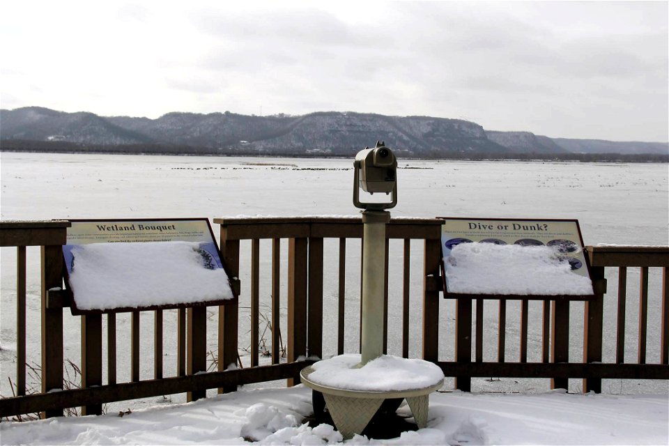 Snowy observations