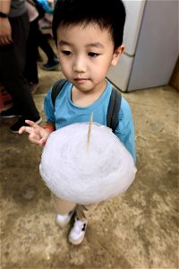 2023/6/4 Niceday森林祭親子生態觀察