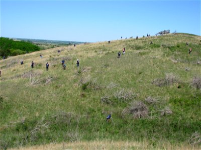 Searching for Invasive Species photo