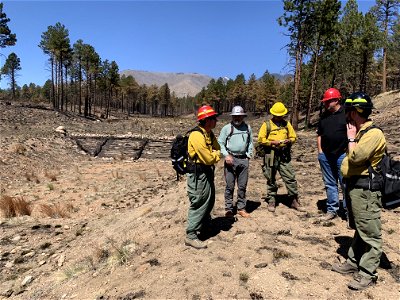 TunnelFireBAER_20220501_BAERTeamandCoconinoCountyrepresenttivesreviewburnseverity_MarkChristiano