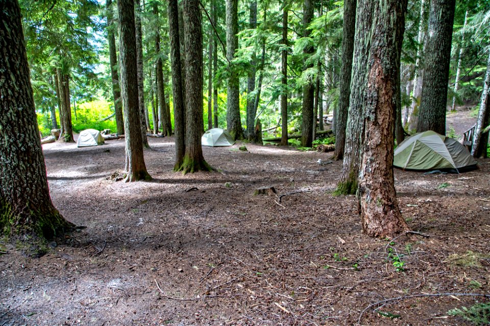 O-Gifford Pinchot Blue Lake Cr Trail-5