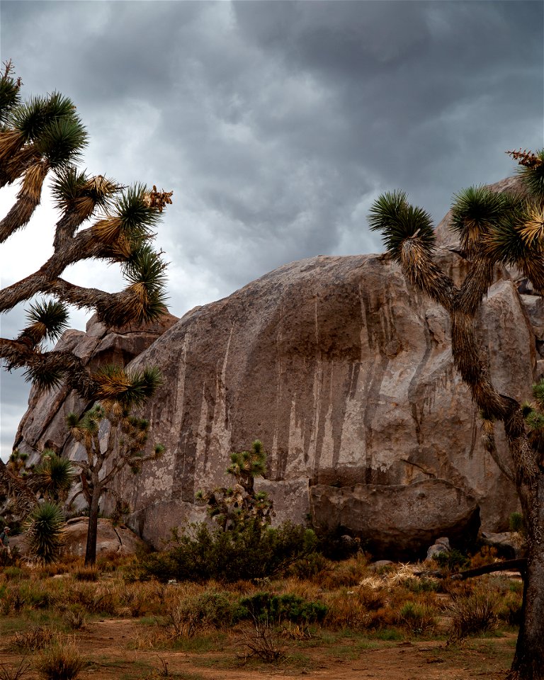 Cap Rock Weeps in Rain photo