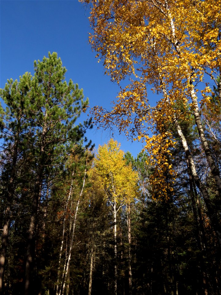 20211019-FS-Superior-SAR-016