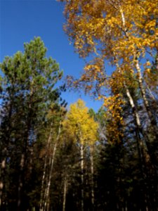 20211019-FS-Superior-SAR-016