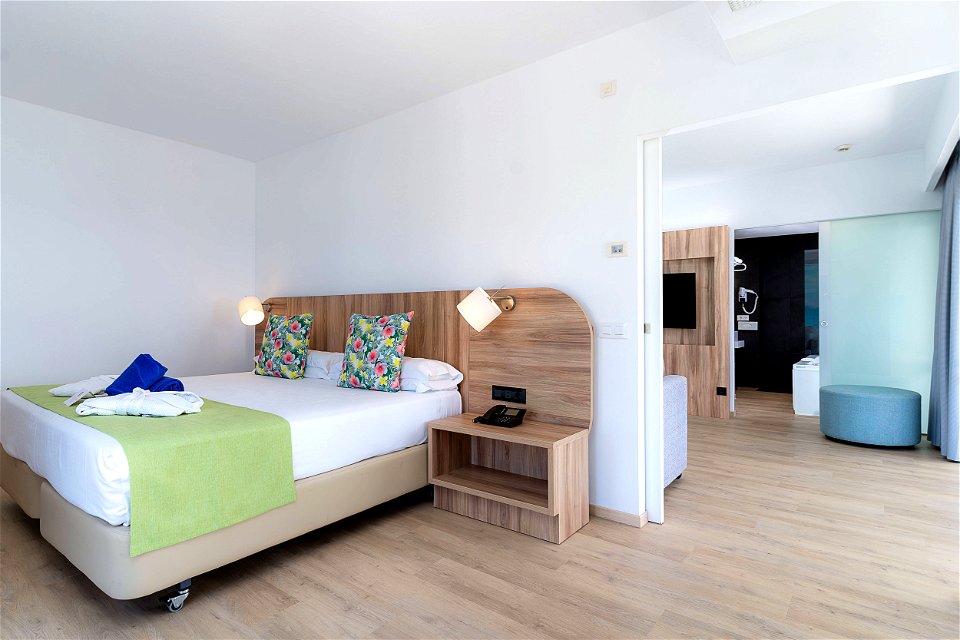 Superior 1 bedroom Suite