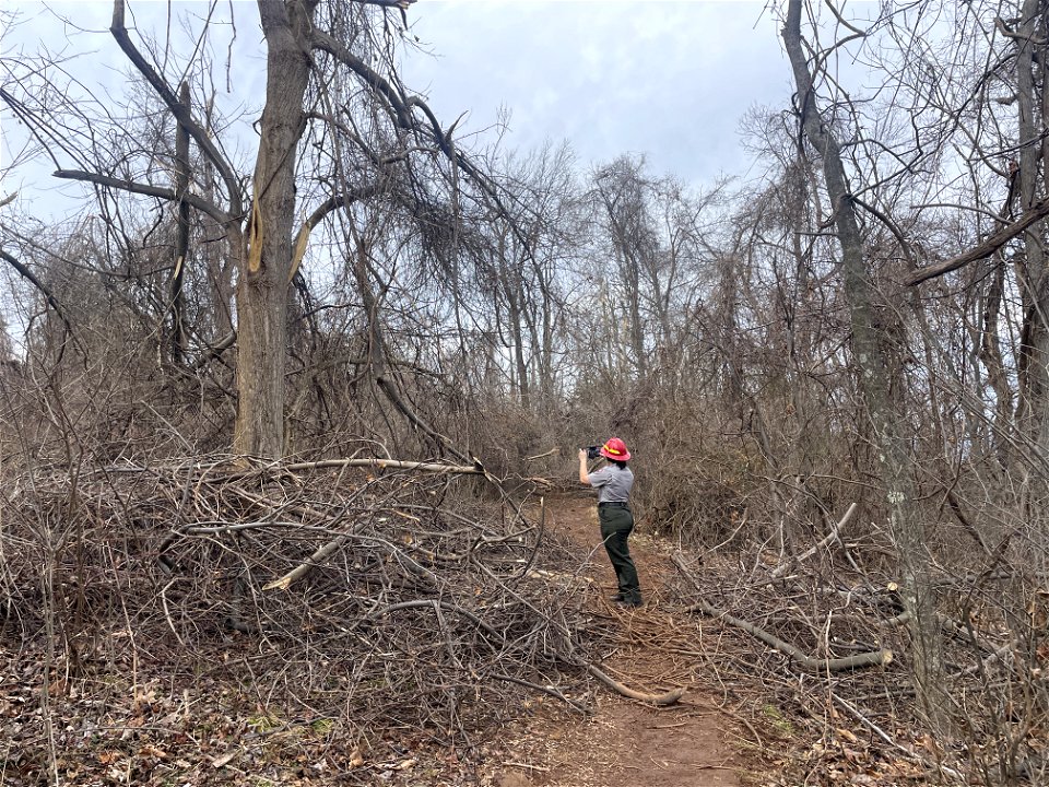 Ice Storm Cleanup North District/Fox Hollow Trail