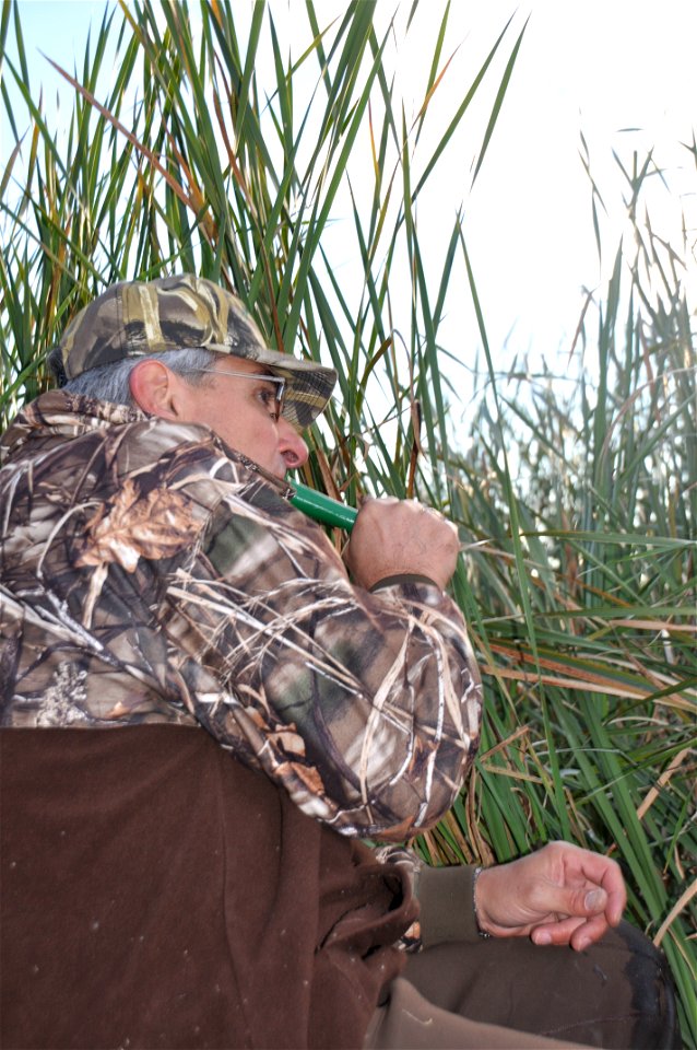 Duck calling