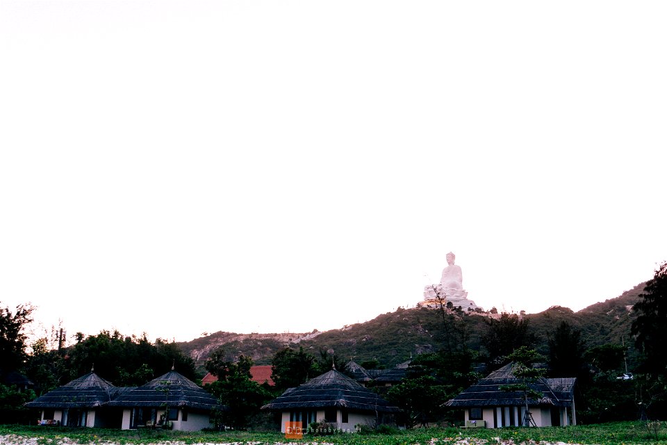 DSC01506