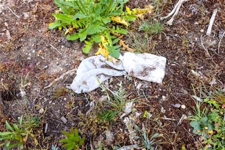 Human waste in off-trail thermal areas (2) photo