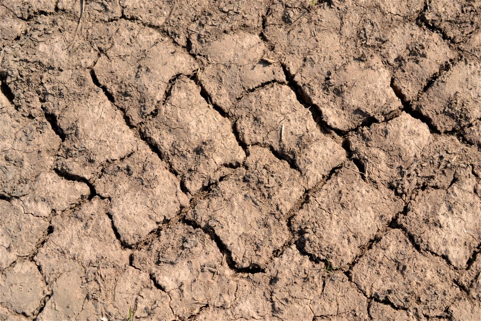 Free textures with cracks